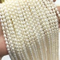Rice Cultured Freshwater Pearl Beads, Round, DIY 
