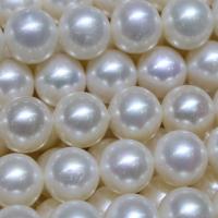 Round Cultured Freshwater Pearl Beads, DIY, white, 10-11mm Approx 14-15 Inch 