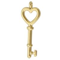 Stainless Steel Key Pendants, 304 Stainless Steel, Vacuum Ion Plating, hollow, gold Approx 2mm 