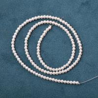 Round Cultured Freshwater Pearl Beads, DIY, white, 3mm Approx 40 cm 