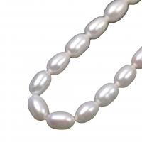 Rice Cultured Freshwater Pearl Beads, DIY, white, 6mm Approx 36-37 cm 