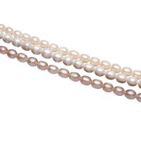 Rice Cultured Freshwater Pearl Beads, natural 6-7mm Approx 0.8mm Approx 14.5 Inch 