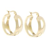 Stainless Steel Hoop Earring, 316 Stainless Steel, Vacuum Plating, fashion jewelry & DIY & for woman, golden 