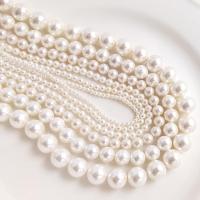 Peties perles de la mer du sud, Shell Pearl, Rond, vernis au four, normes différentes pour le choix, blanc Environ 15.74 pouce, Vendu par brin