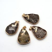 Естественный бирюзовый подвески, Натуральная Бирюза, с Латунь, Каплевидная форма, плакирован золотом, DIY продается PC