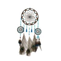 Fashion Dream Catcher, Feather, with Cotton Thread & Wood, handmade, hanging, mixed colors 