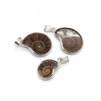 Trumpet Shell Fossil Pendant, with Brass, Conch, silver color plated, Unisex 