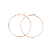 Stainless Steel Hoop Earring, 304 Stainless Steel, rose gold color plated, fashion jewelry & for woman, rose gold color 