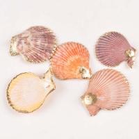 Natural Seashell Pendant, Shell, Fan, gold color plated, Unisex, mixed colors, 40-60mm 