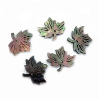 Natural Seashell Pendant, Maple Leaf, Unisex 