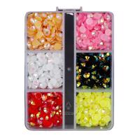 Mobile Phone DIY Decoration, Resin, with Plastic Box 