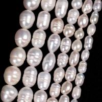 Rice Cultured Freshwater Pearl Beads, DIY 