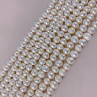 Round Cultured Freshwater Pearl Beads, DIY, white, 5-6mm Approx 14.96 Inch, Approx 