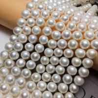 Freshwater Pearl, DIY, white, 10-11mm Approx 15.94 Inch 