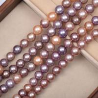 Round Cultured Freshwater Pearl Beads, DIY, mixed colors, 10-11mm Approx 39-40 cm 