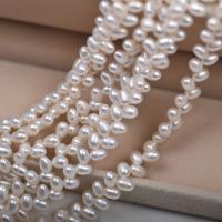 Drop Cultured Freshwater Pearl Beads, DIY, white, 4-4.5mm Approx 37-38 cm 