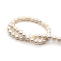 Round Cultured Freshwater Pearl Beads, DIY white Approx 14.96 Inch 