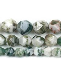 Natural Tree Agate Beads, polished, DIY & faceted, green 