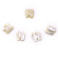 Natural Seashell Pendant, Carved, Unisex, white 