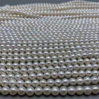 Round Cultured Freshwater Pearl Beads, DIY, white, 5-6mm Approx 15 Inch 