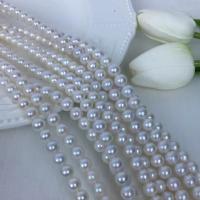 Round Cultured Freshwater Pearl Beads, DIY, white, 7.5-8.5mm Approx 15 Inch 