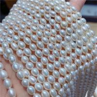 Rice Cultured Freshwater Pearl Beads, DIY, white, 5-6mm Approx 15 Inch 