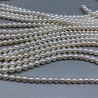 Round Cultured Freshwater Pearl Beads, DIY, white, 5.5-6mm Approx 15 Inch 