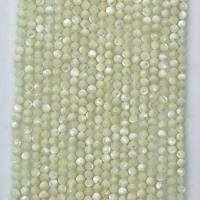 Trochus Beads, Trochus Shell, Round, natural & faceted, beige Approx 14.96 Inch 