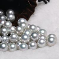 La Perla Cultivada de Akoya, Perlas Cultivadas de Akoya, Bricolaje & diverso tamaño para la opción, gris, Vendido por UD