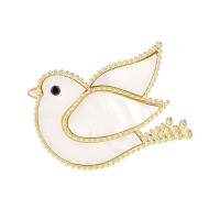 Shell Brooch, Brass, with Cubic Zirconia & Shell, Dove, plated, for woman 
