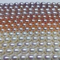 Rice Cultured Freshwater Pearl Beads, DIY 9-10mm Approx 39 cm 
