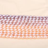 Rice Cultured Freshwater Pearl Beads, DIY 7-8mm Approx 39 cm 