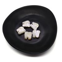 Natural Seashell Pendant, Elephant, Carved, DIY, white 
