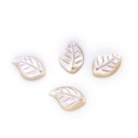 White Shell Pendants, White Lip Shell, Leaf, Carved, DIY, white 