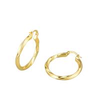Stainless Steel Hoop Earring, Brass, plated, fashion jewelry & for woman 
