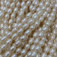 Perlas Arroz Freshwater, Perlas cultivadas de agua dulce, Bricolaje, Blanco, 4-5mm, longitud:aproximado 15 Inch, Vendido por Sarta