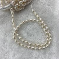 Perlas Arroz Freshwater, Perlas cultivadas de agua dulce, Bricolaje, Blanco, 5mm, longitud:aproximado 15 Inch, Vendido por Sarta