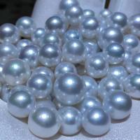 La Perla Cultivada de Akoya, Perlas Cultivadas de Akoya, Bricolaje & diverso tamaño para la opción, Blanco, Vendido por UD