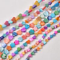 Dyed Shell Beads, DIY  mixed colors 