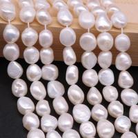 Keshi Cultured Freshwater Pearl Beads, Natural & DIY white cm 