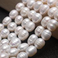 Perlas Arroz Freshwater, Perlas cultivadas de agua dulce, Natural & Bricolaje, Blanco, 7-7.5mm, longitud:36 cm, Vendido por Sarta