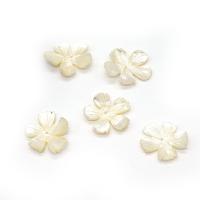 Seashell Beads, Natural Seashell, Flower, Carved, DIY, white, 30mm 