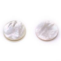 Shell Jewelry Cabochon, Natural Seashell, Flat Round, DIY, white, 25mm 