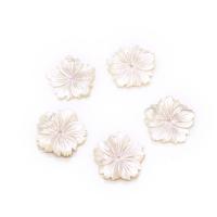 Seashell Beads, Natural Seashell, Flower, Carved, DIY, white, 25mm 