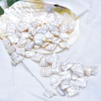 Perlas Freshwater sin Agujero, Perlas cultivadas de agua dulce, Barroco, Natural & Bricolaje, Blanco, 15-17mm, Vendido por UD