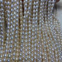 Rice Cultured Freshwater Pearl Beads, DIY, white, 3.8-4.2mm Approx 15 Inch 