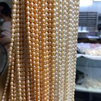 Rice Cultured Freshwater Pearl Beads, DIY 4.5mm Approx 15 Inch 
