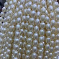 Perlas Arroz Freshwater, Perlas cultivadas de agua dulce, Bricolaje, Blanco, 7-8mm, longitud:aproximado 39 cm, Vendido por Sarta