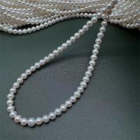 Natural Freshwater Pearl Loose Beads, DIY, white, 5-6mm Approx 15 Inch [