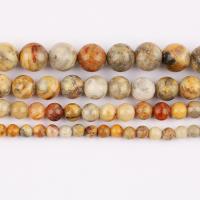 Perle naturelle Agate Crazy, agate folle, Rond, poli, DIY & normes différentes pour le choix Environ 37 cm, Vendu par brin